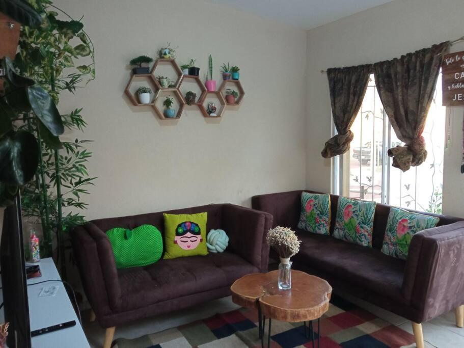 דירות סונסונאטה La Casa Del Pinito מראה חיצוני תמונה