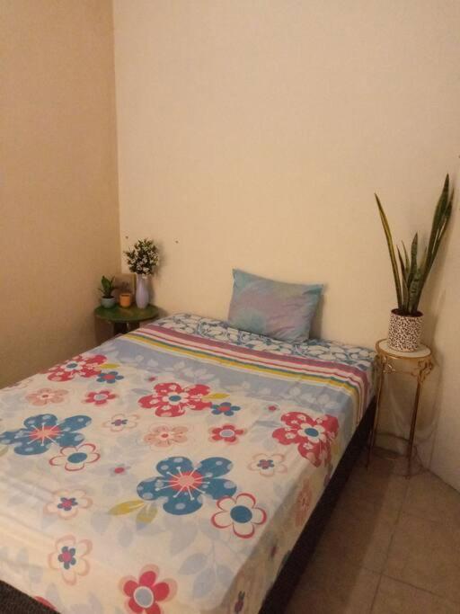 דירות סונסונאטה La Casa Del Pinito מראה חיצוני תמונה