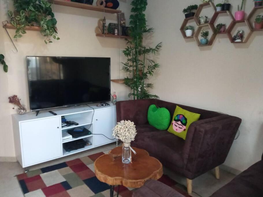 דירות סונסונאטה La Casa Del Pinito מראה חיצוני תמונה